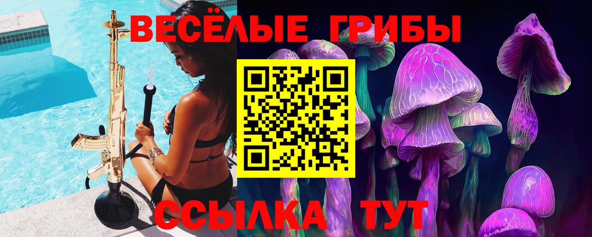 Псилоцибиновые грибы прущие грибы Алексин