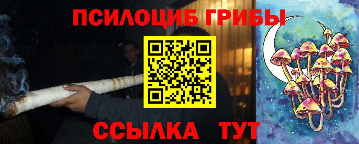 дарнет шоп  Вход с VPN  Алексин  Псилоцибиновые грибы MAGIC MUSHROOMS 